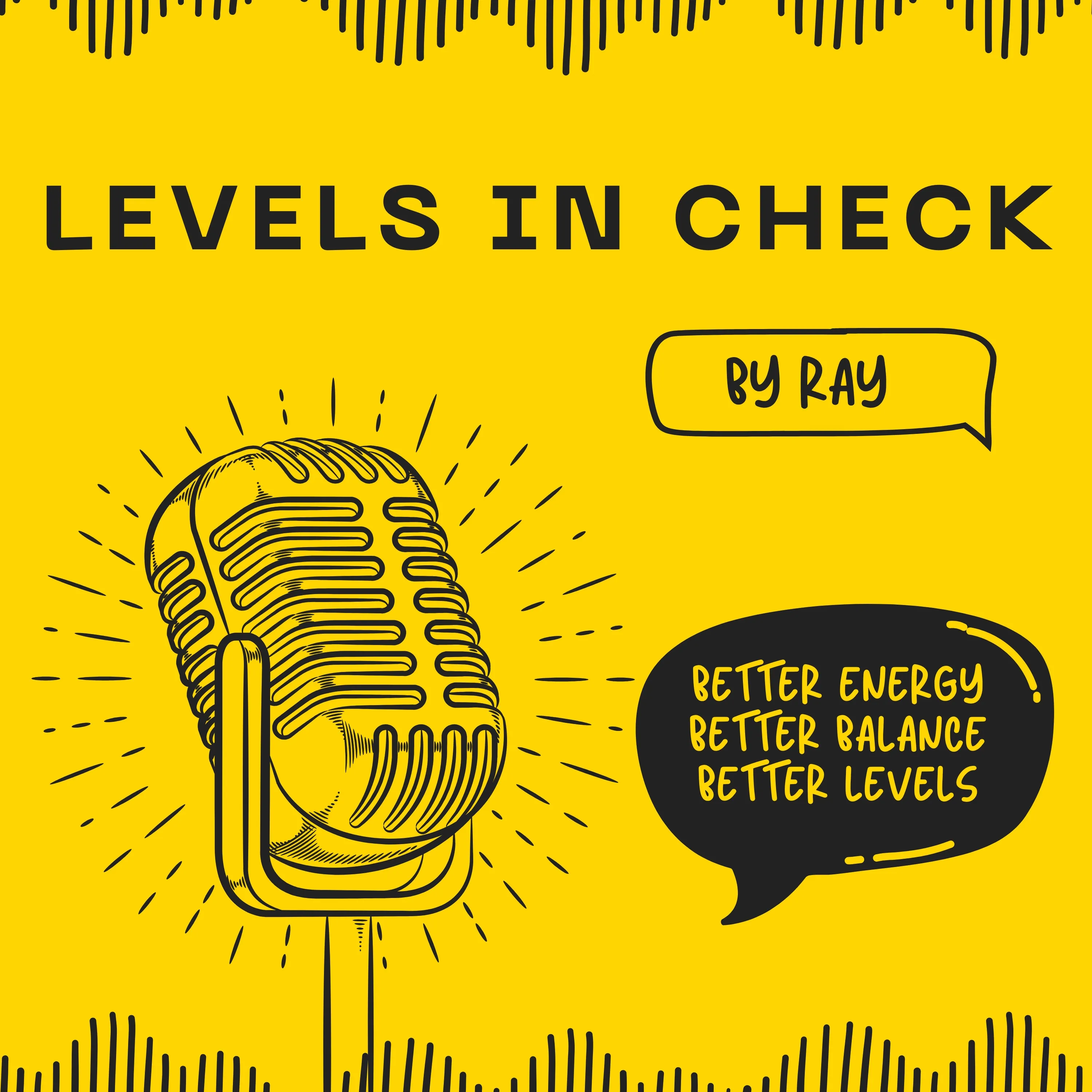 Levels in Check cover art